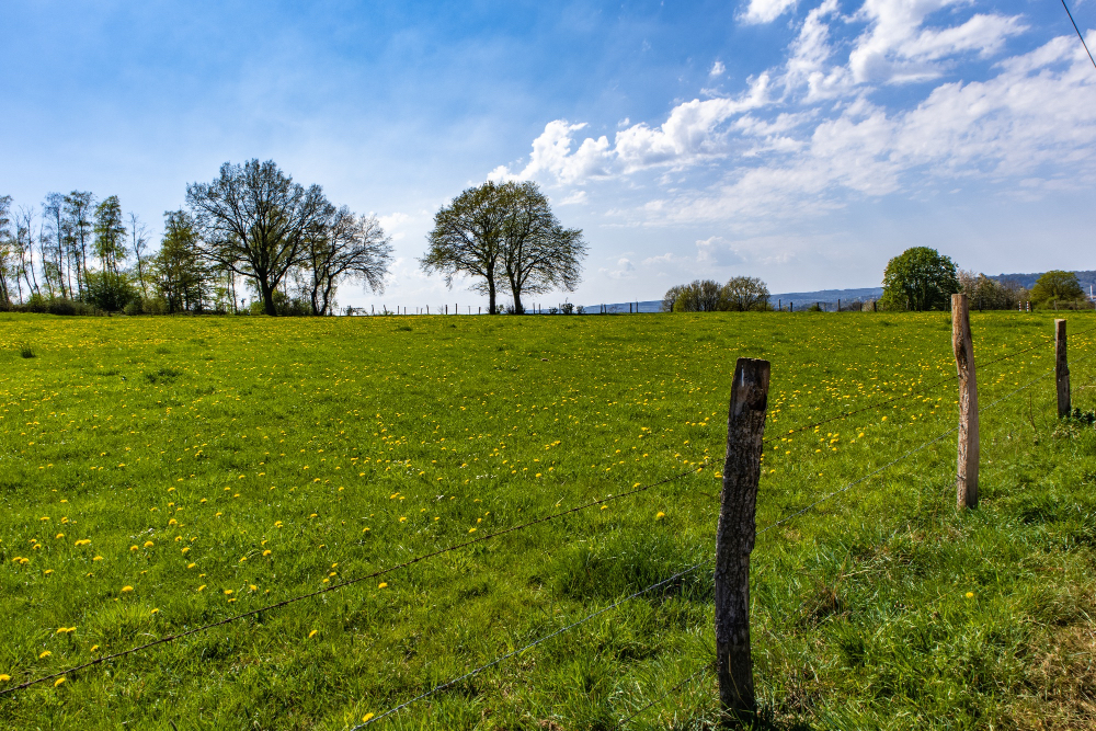 Wprowadzenie do wykorzystania mini traktorów w ogrodnictwie.